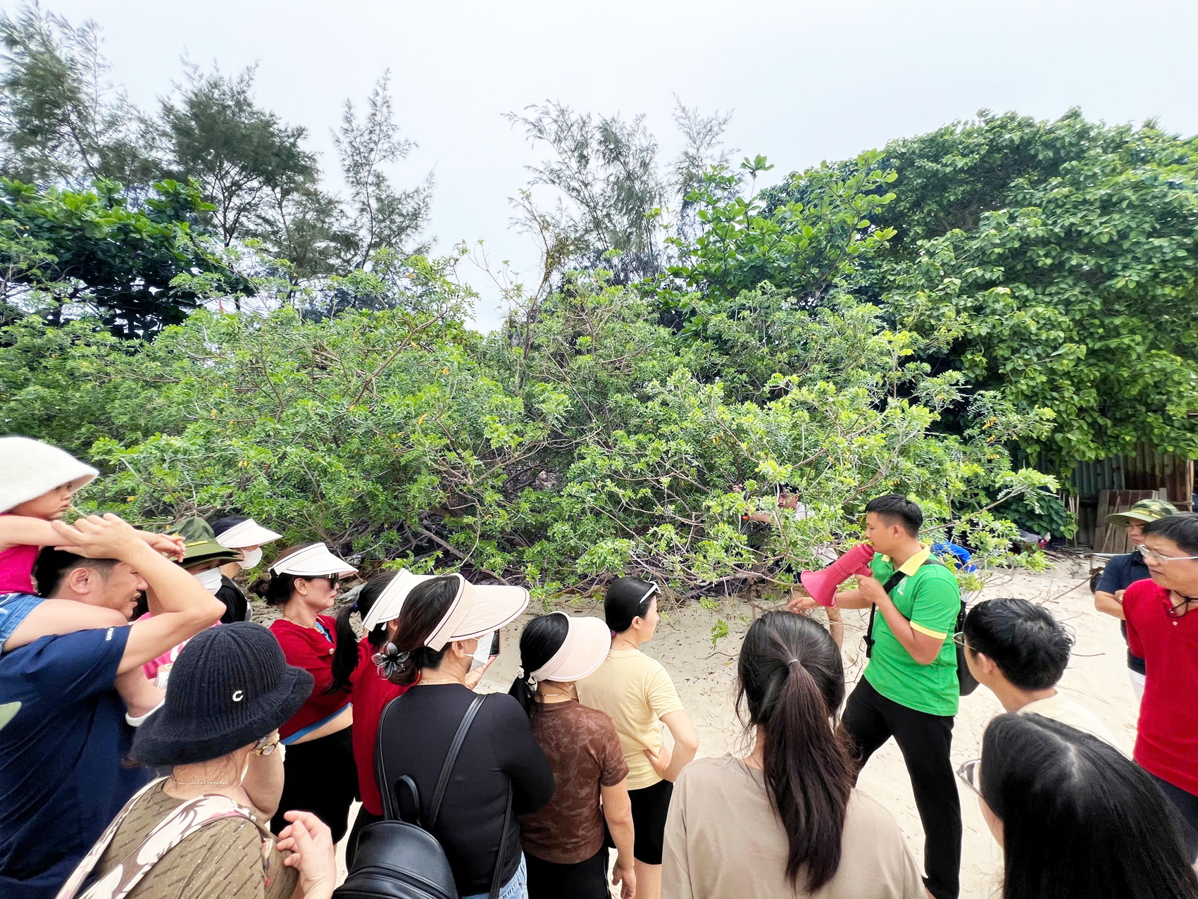 TPHCM rộng hơn - cơ hội lớn để phát triển du lịch Đoàn du khách nghe hướng dẫn viên giới thiệu về các loài thực vật, động vật ở đặc khu Côn Đảo, TPHCM - Ảnh: Quốc Thái