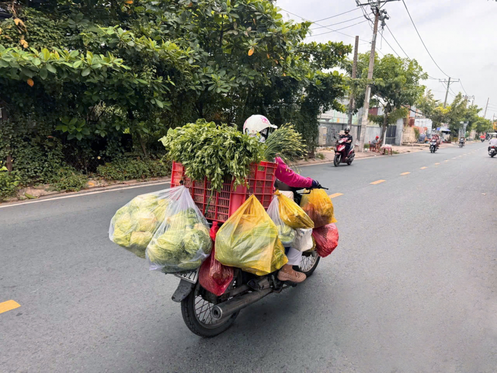 Nâng chất lượng sống từ việc giảm đồ nhựa dùng 1 lần Người phụ nữ rời chợ đầu mối Bình Điền, TPHCM với nhiều túi ni lông đựng rau củ - ẢNH: PHÙNG HUY