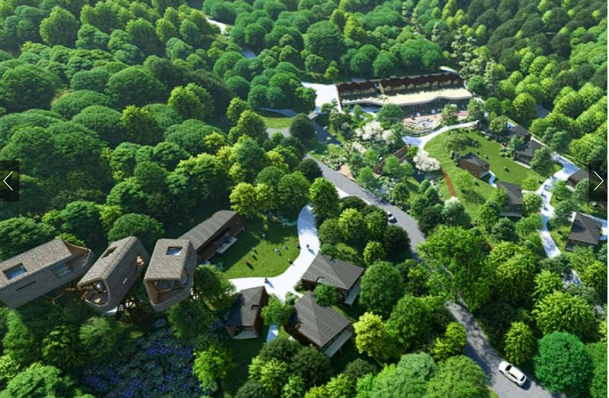 Đây là mô hình lưu trú đầu tiên ở Hàn Quốc nhằm mang lại một không gian chữa lành dựa vào thiên nhiên - Ảnh:  