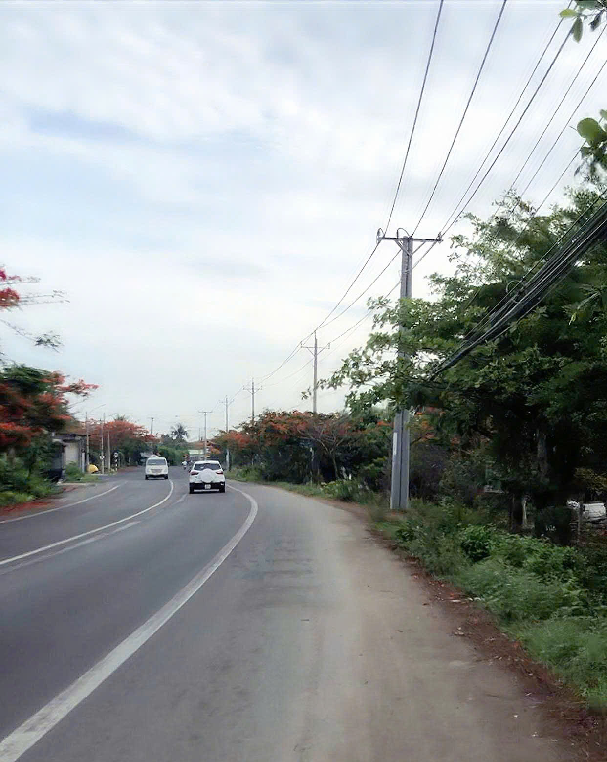 Đoạn đường từ Phước Hải qua Xuyên Mộc cũng rợp sắc đỏ hoa phượng. (Ảnh: Trinh Huỳnh)
