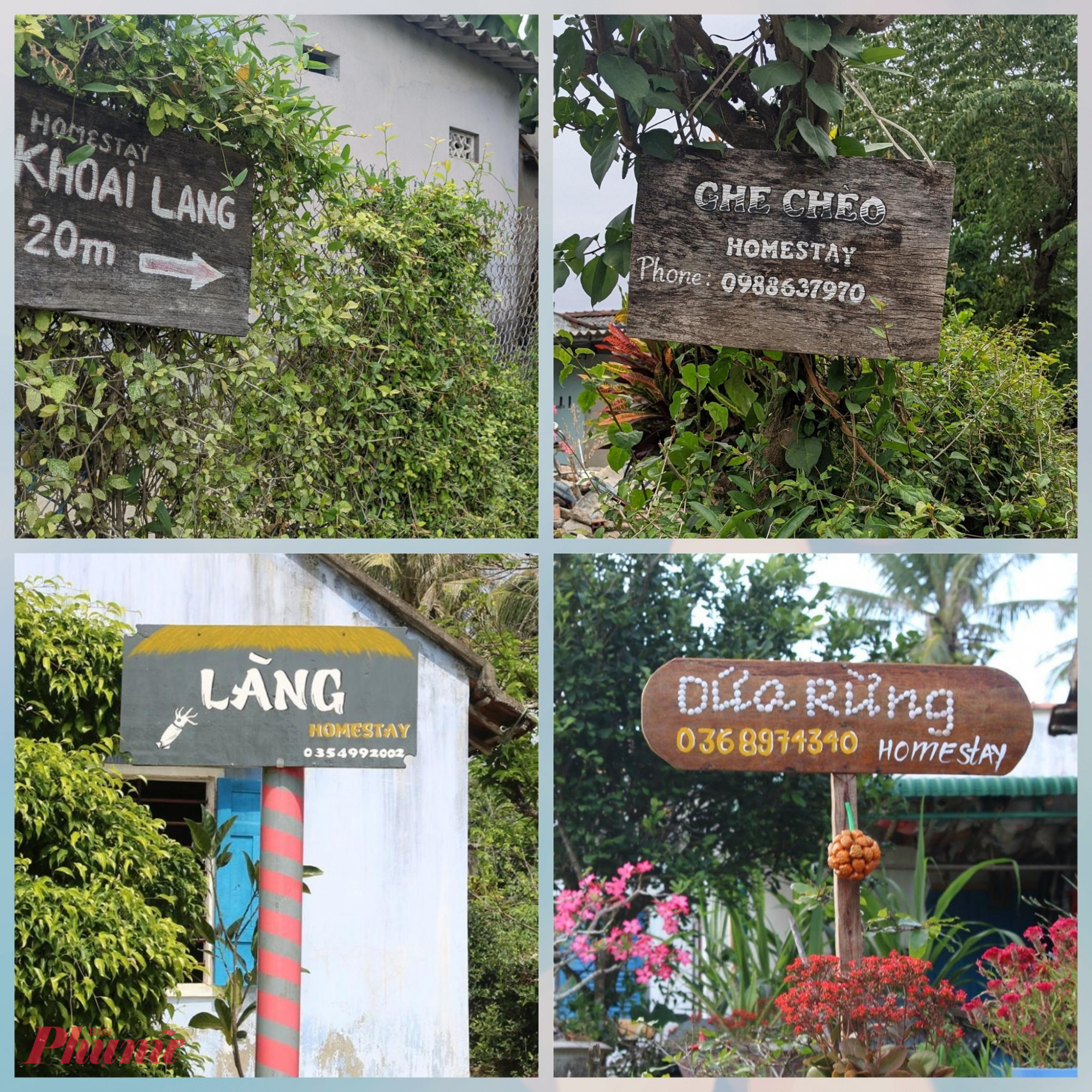 Những homestay mộc mạc từ tên gọi