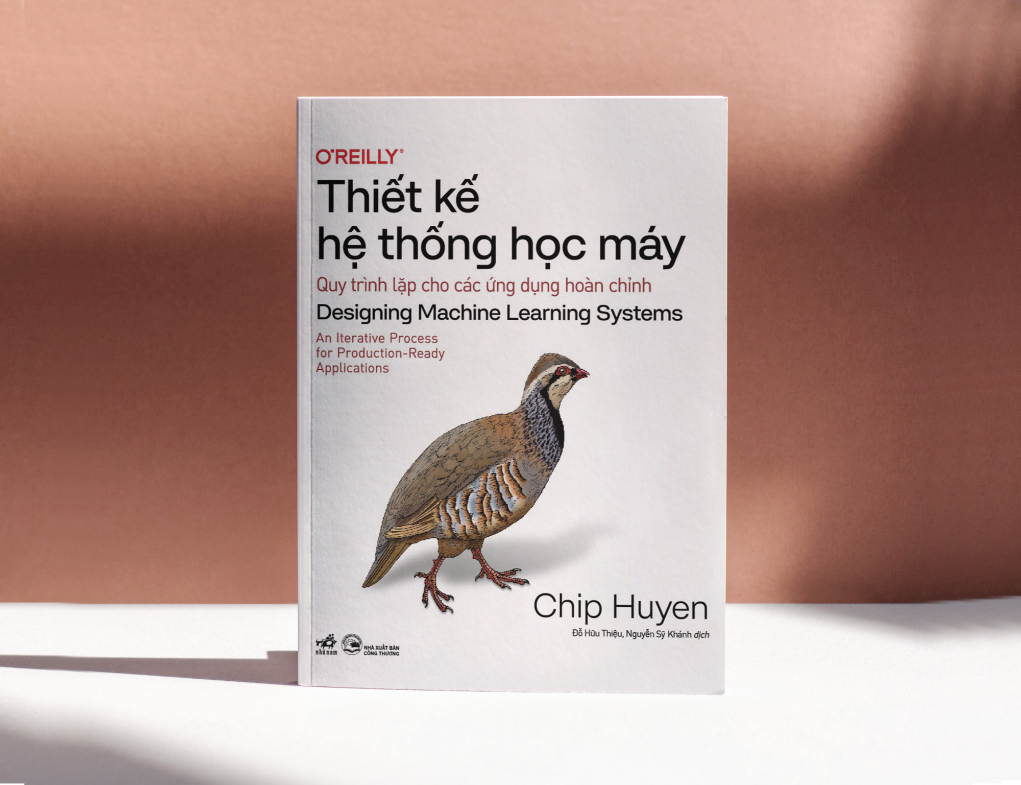 Thiết kế hệ thống học máy được hoàn thành sau quãng thời gian theo học ngành khoa học máy tính, tại trường Đại học Stanford (Mỹ).