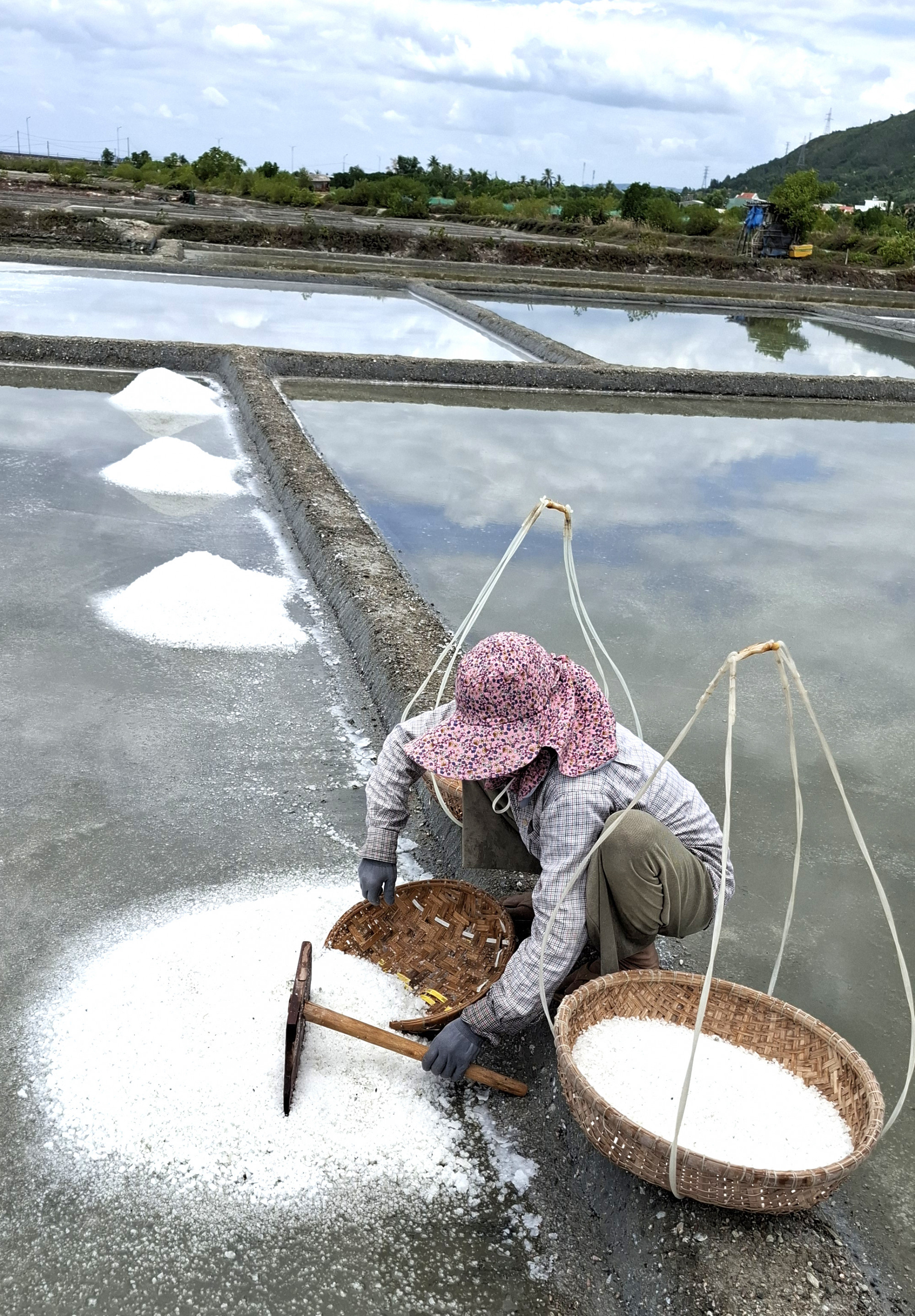 Cánh đồng muối trải dài trăm năm tuổi Việc thu hoạch muối được thực hiện hoàn toàn thủ công, dùng bàn cào cáng ngắn hốt muối vào trong rổ.