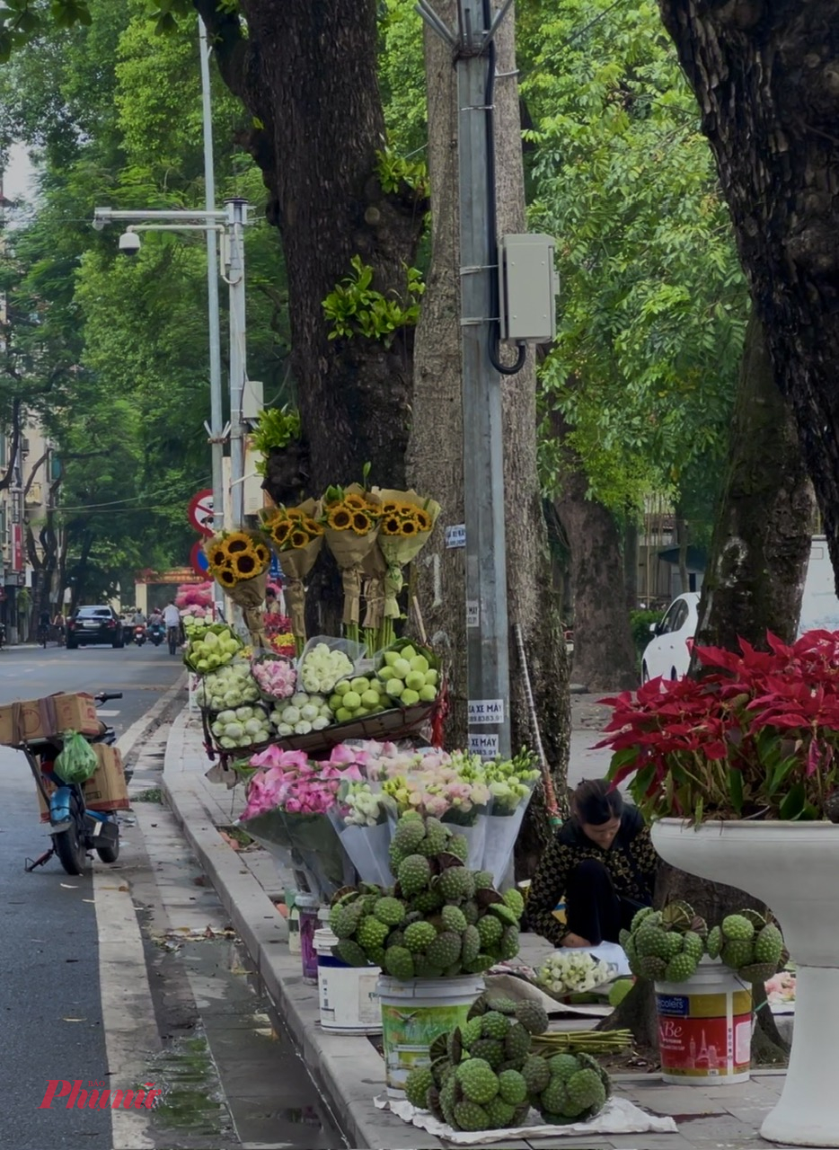 Đường Phan Đình Phùng mùa thu gợi nhiều vấn vương, thương nhớ. Thu sang, người ta lại muốn được ngắm những chiếc lá vàng rơi xào xạc, thả bộ trên con phố ấy để ngẩn ngơ với những sắc vàng của mùa thu Hà Nội. Con đường “trải thảm” lá vàng phủ bóng tán sấu già tạo nên bức tranh tuyệt đẹp về mùa thu Hà Nội, chẳng thế mà nơi đây đã trở thành điểm “check-in” lý tưởng cho những ai yêu thích vẻ đẹp mộng mơ, quyến rũ của thu Hà Nội.