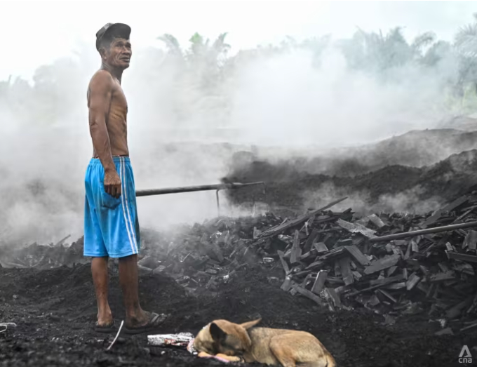 Đối với ông Mustapa, đây sẽ là năm cuối cùng ông làm việc tại nhà máy than củi. Anh dự định trở lại Lombok mãi mãi và hy vọng sẽ dành nhiều thời gian hơn cho gia đình và sáu đứa cháu của mình.  Tôi chỉ muốn chơi với các cháu của mình và xem chúng lớn lên.