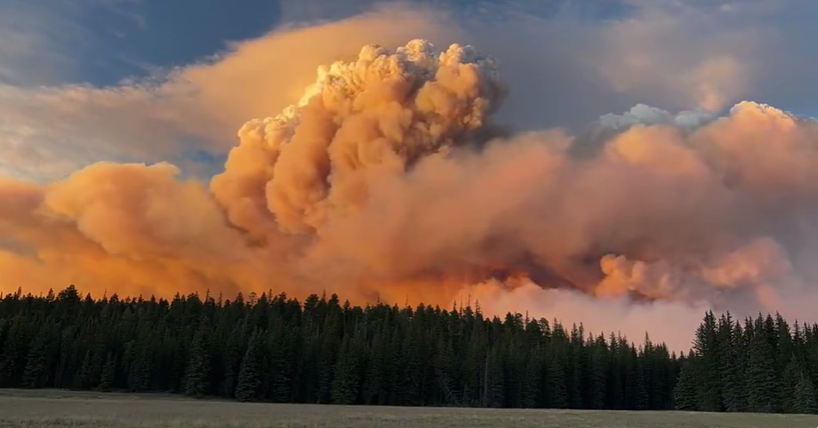 tạo ra hiện tượng thời tiết cực đoan mây lửa - pyrocumulus, có khả năng gây sét, gió giật mạnh, thậm chí cả lốc xoáy lửa.Ảnh: Cliff Berger