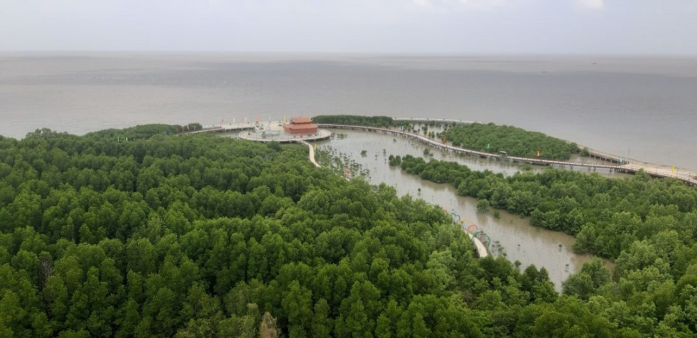 Cà Mau nỗ lực đón hơn 8,4 triệu lượt du khách trong năm 2025