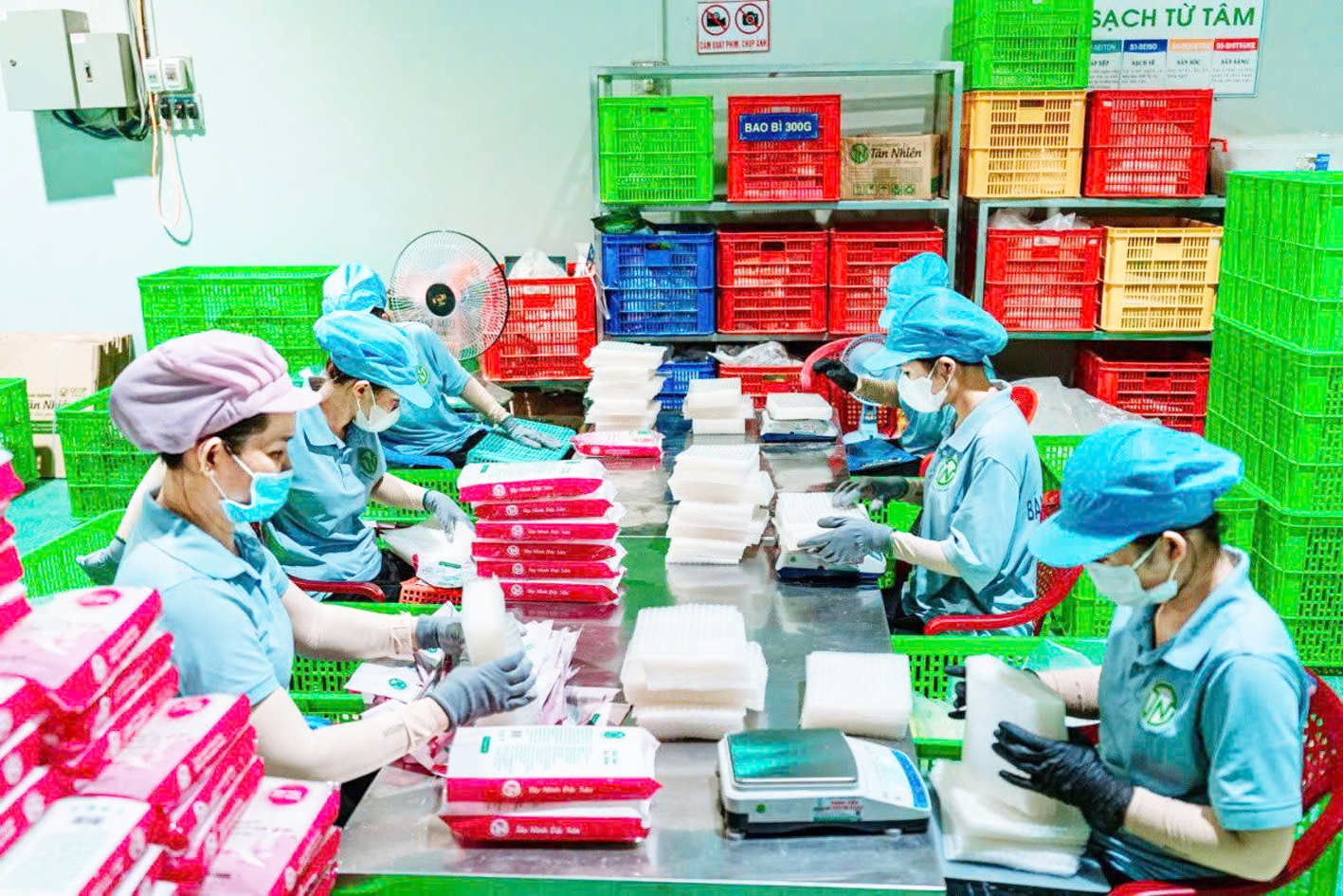 Sản phẩm bánh tráng không nhúng nước là một trong những sản phẩm đạt chứng nhận OCOP của Công ty TNHH Tân Nhiên, tỉnh Tây Ninh