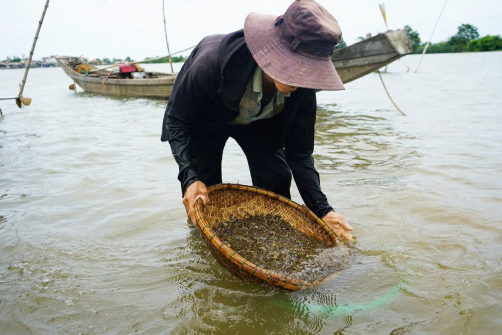 Chắt chắt không dễ xúc, phải canh khi nước vừa ròng, bùn cát lắng xuống mới mong có được rổ đầy - Ảnh do tác giả cung cấp