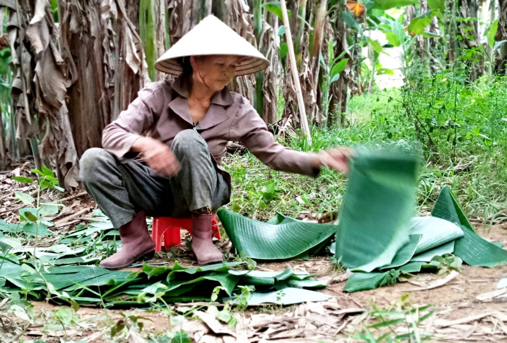 Mẹ tác giả ngày ngày vẫn cần mẫn tiết kiệm tiền từ việc bán lá chuối