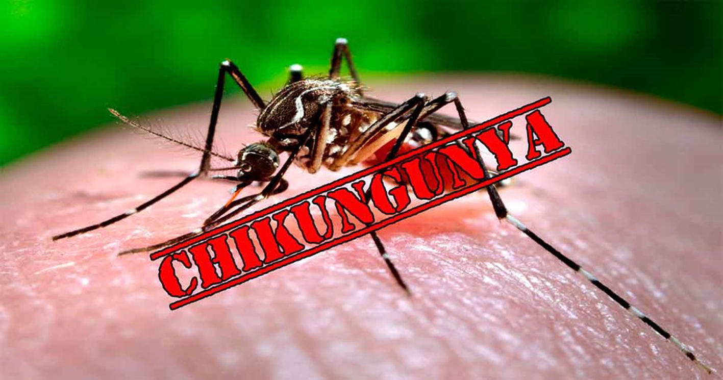 Dù chưa có thuốc điều trị đặc hiệu nhưng tỉ lệ tử vong do vi rút chikungunya còn khá thấp - ẢNH MINH HỌA: ECDC 