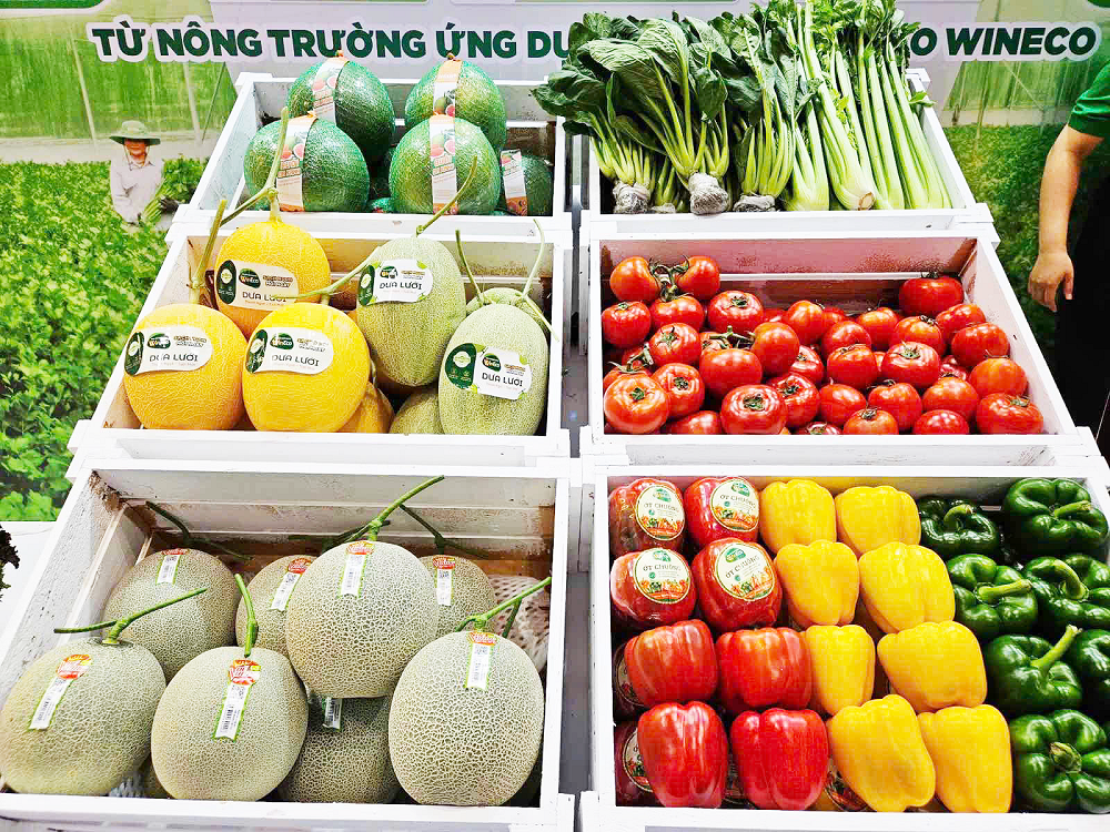 Rau trái tươi ngon được bày bắt mắt, thu hút đông đảo khách tham quan