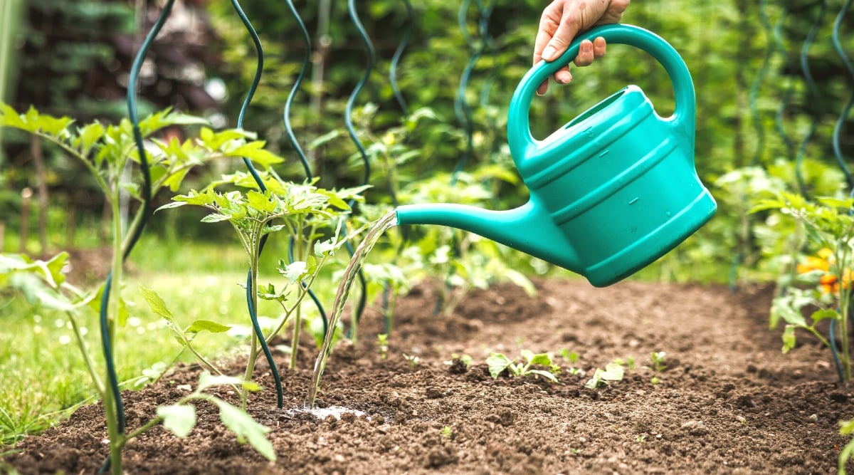 epicgardening