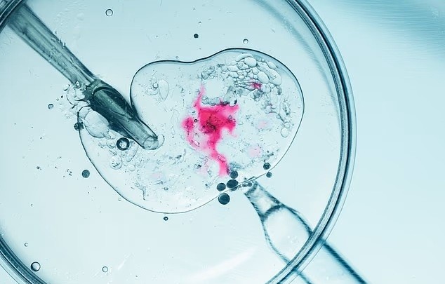 Các nhà khoa học phát hiện ra rằng vào mùa xuân, tỷ lệ mang thai nhờ IVF cao hơn 75% so với những tháng lạnh giá - Ảnh minh họa: Shutterstock