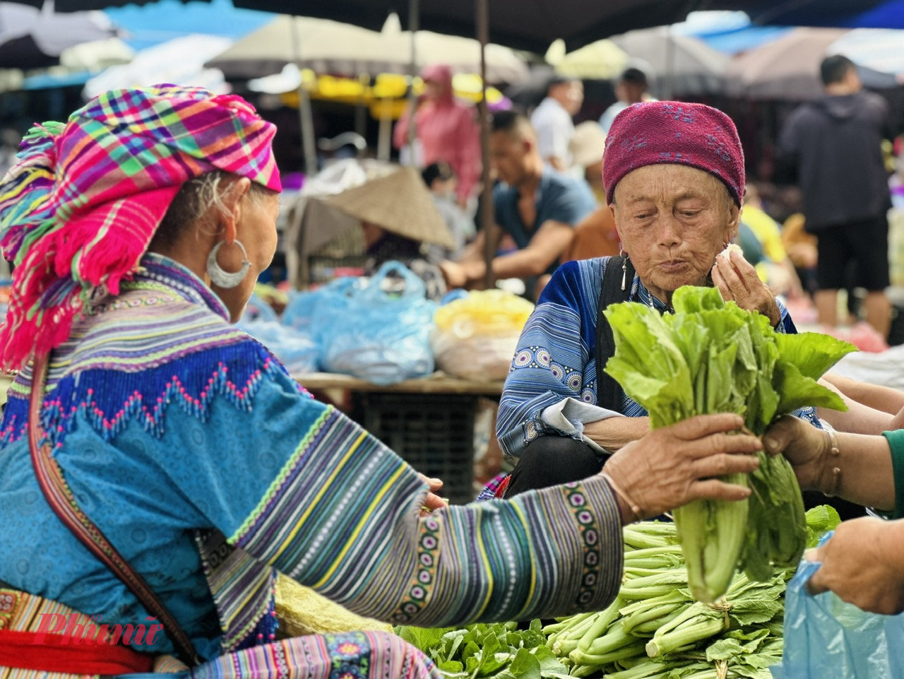 Những khuôn mặt đồng bào đầy cuốn hút 