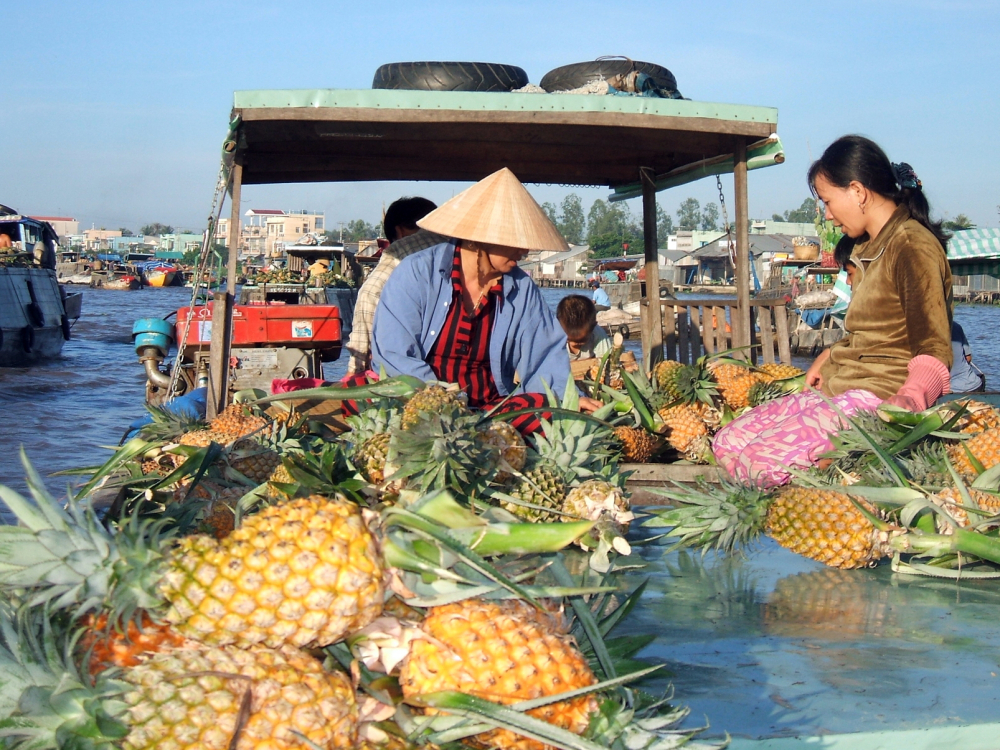 Sinh kế chìm theo đà suy tàn của chợ nổi Phụ nữ chở khóm từ miệt Gò Quao (tỉnh An Giang) về bán ở chợ nổi Cái Răng (TP Cần Thơ) - ẢNH: HUỲNH LỢI