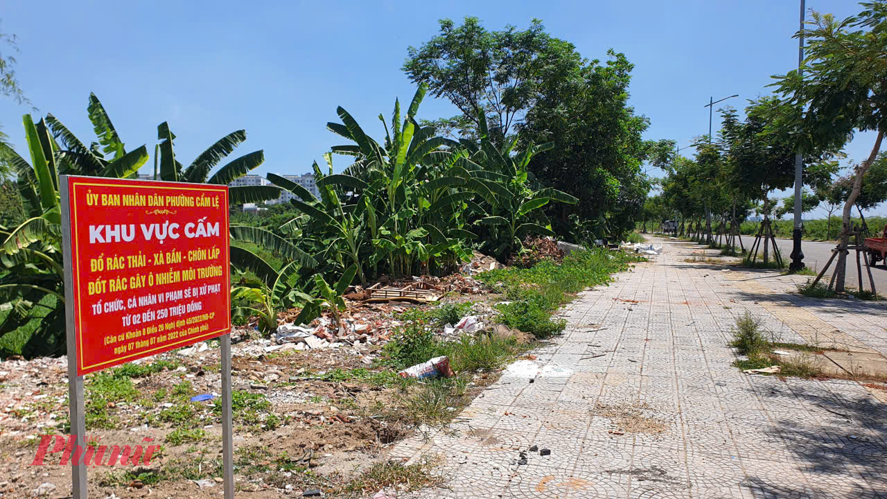 Trên tuyến đường Thăng Long thuộc phường Cẩm Lệ, rác thải bị vứt ngổn ngang