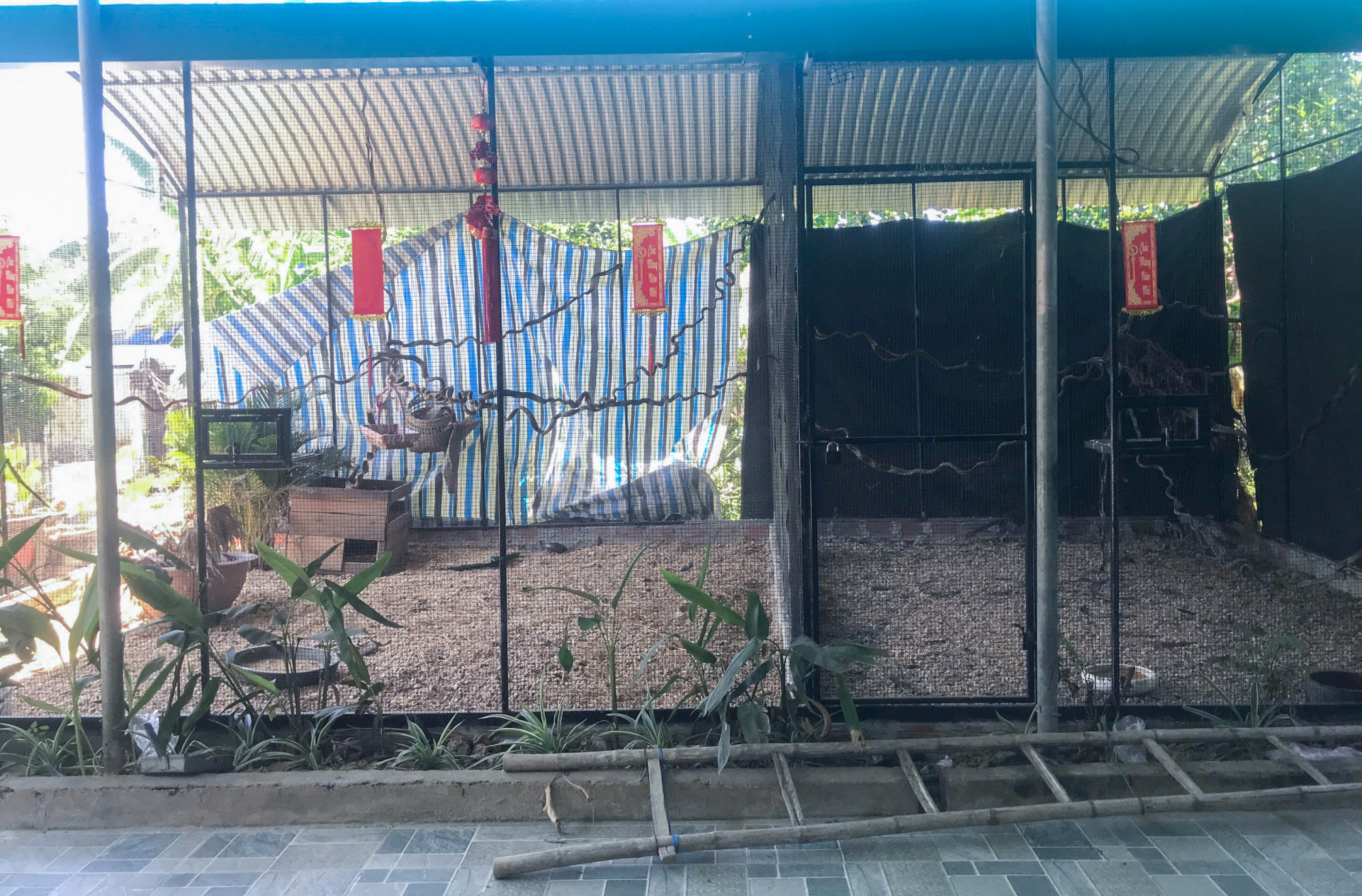 Chuồng nuôi gà trong nhà chị Oanh - Ảnh: Khánh Trung