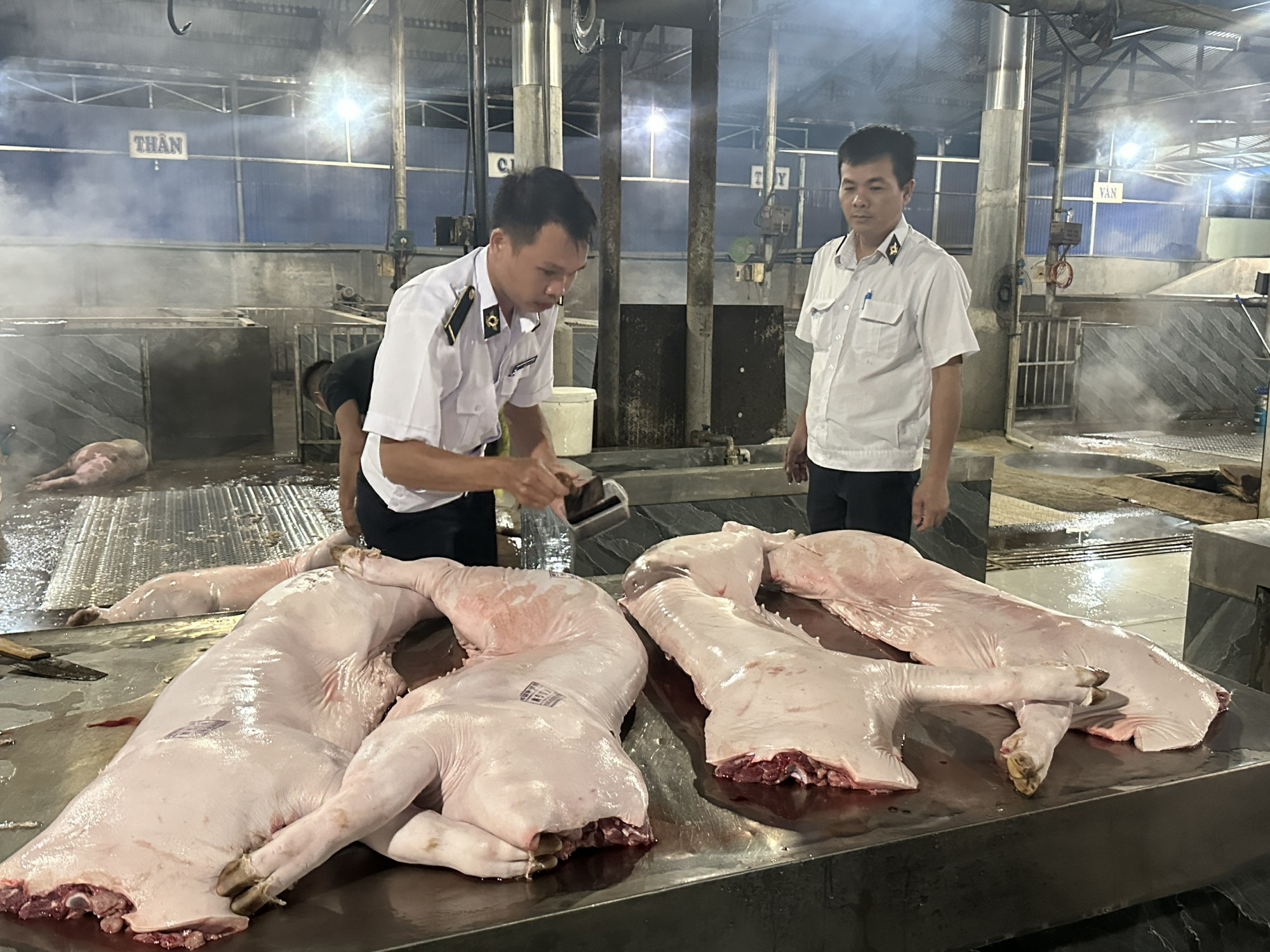 Cơ quan chức năng siết chặt khâu giết mổ tại các cơ sở - Ảnh: H.L.