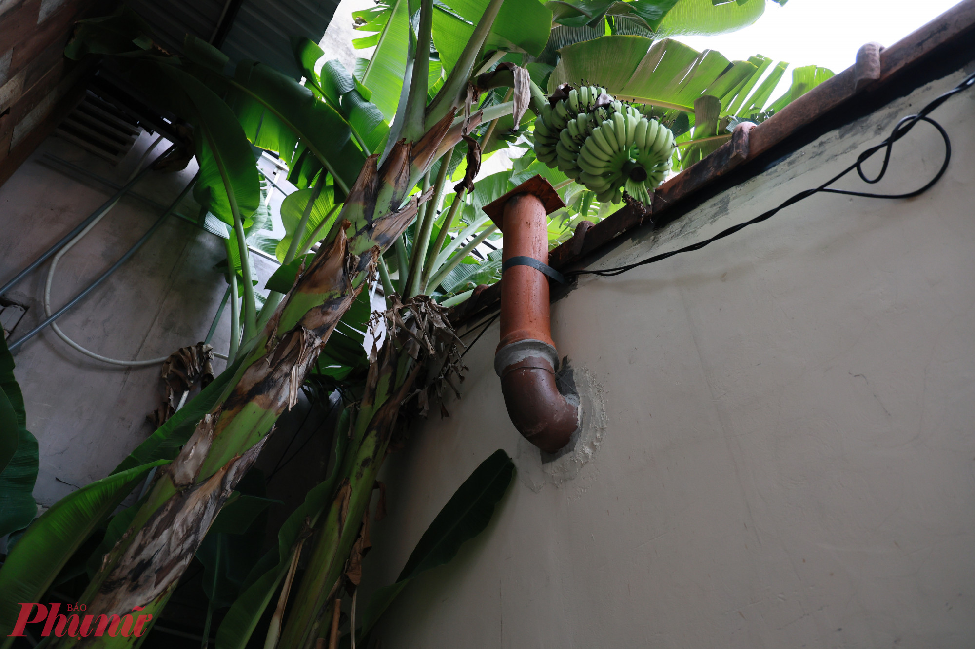 Bức tranh đồng quê này mang đến cảm giác bình yên và thân thuộc cho người đến thưởng thức cà phê.