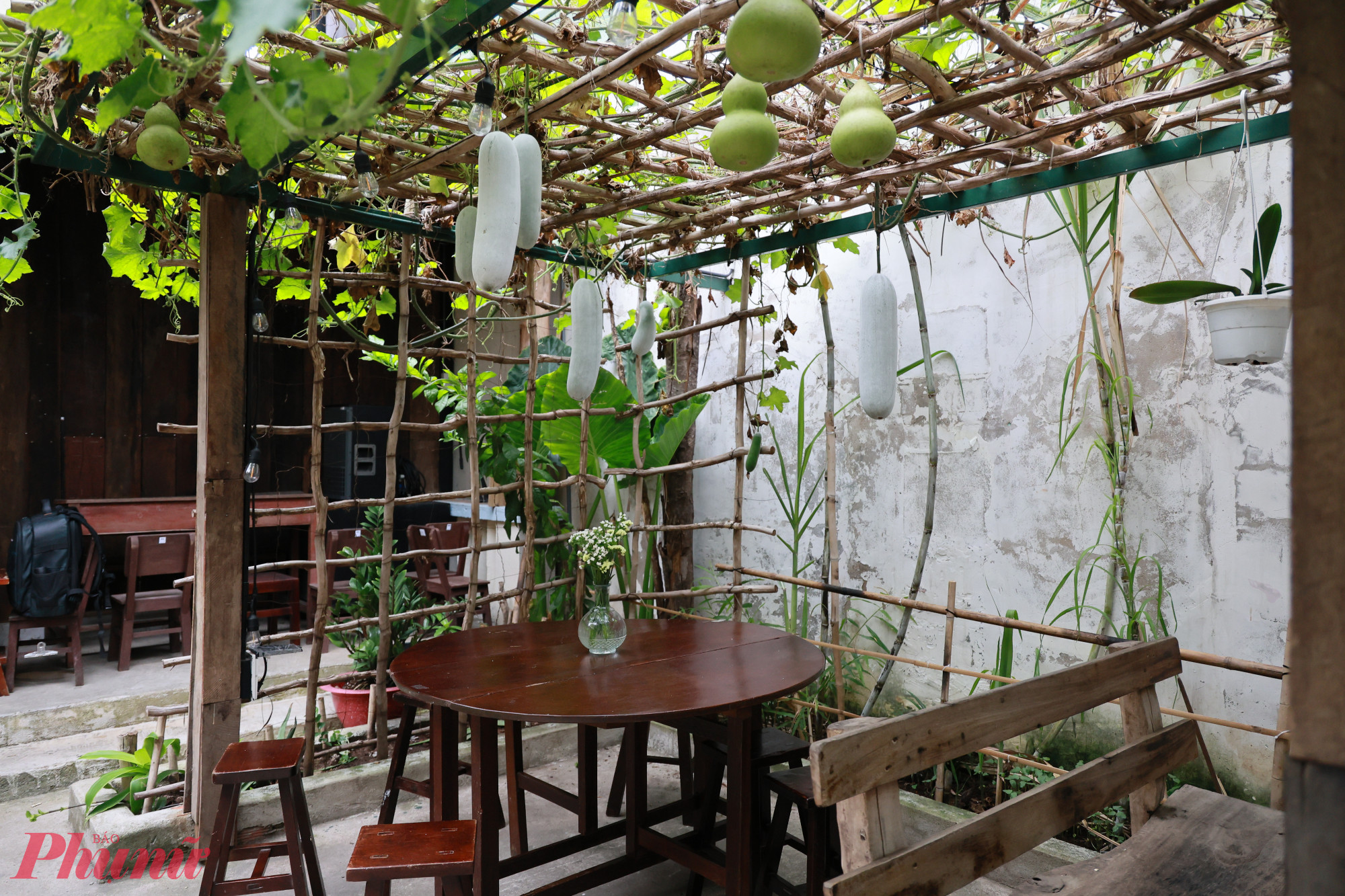 Điểm nhấn đặc biệt là sân vườn rộng rãi với giàn bầu, những luống rau và mảnh lúa được chăm sóc tỉ tỉ. Bức tranh đồng quê này mang đến cảm giác bình yên và thân thuộc cho người đến thưởng thức cà phê.