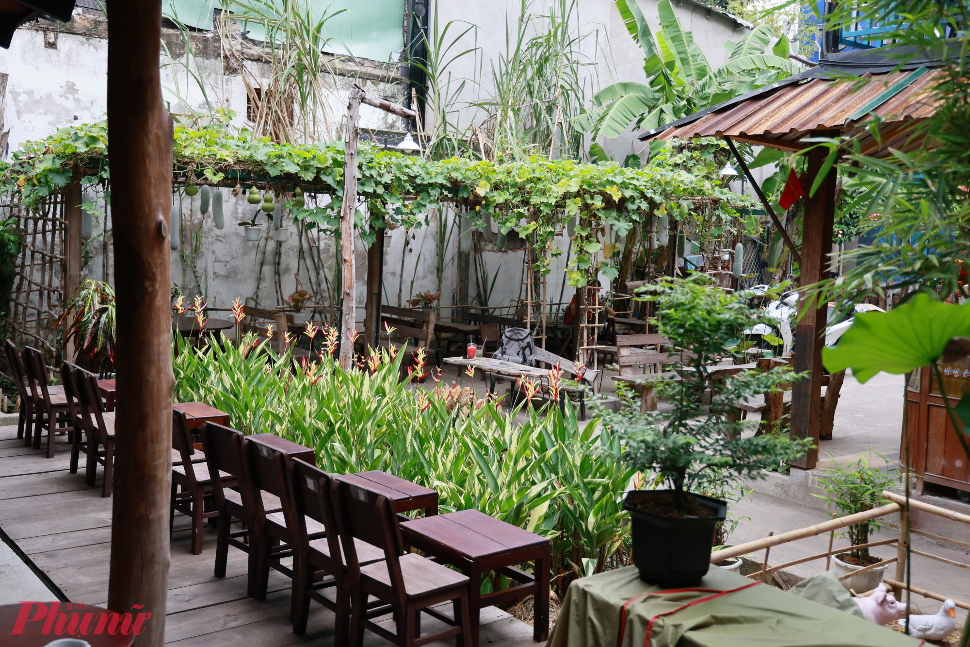 Chủ quán là những người trẻ tuổi, giữ lòng đam mê, tâm huyết sản phẩm văn hóa miền Tây. Họ đã mất đến 6 tháng tìm kiếm, sưu tầm các món đồ cũ như bàn gỗ, bàn an ủi than, bếp củi, tủ chén… nhắm tạo nên không gian chân thực và tip nhiều hoài niệm.