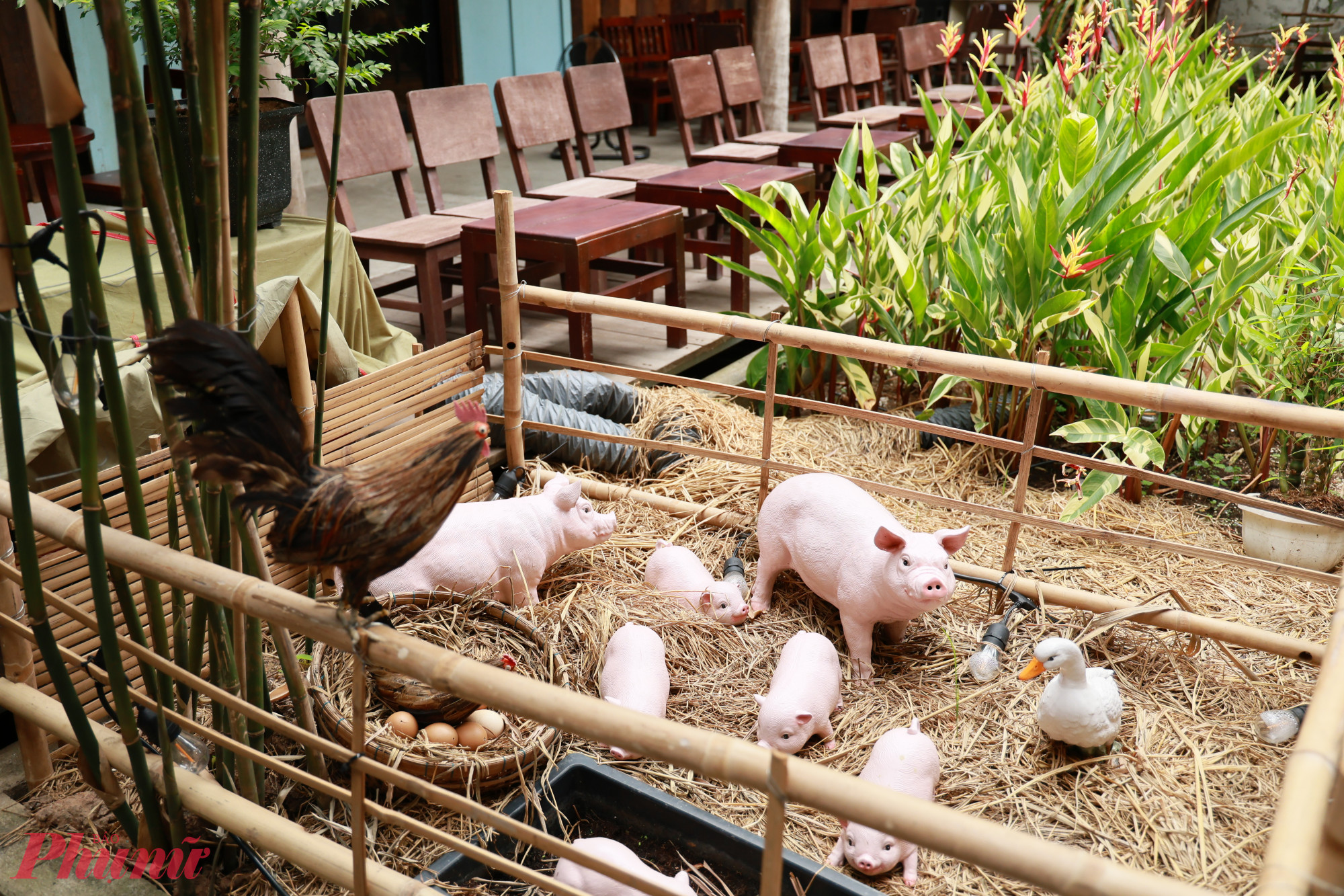 Mình lướt Tiktok thấy quán cà phê đẹp, thơ mộng và yên bình nên mình rủ bạn đến quán. Quán khá yên tĩnh, mát mẻ và dễ chịu. Mình thích giàn bầu và các tượng heo, gà... rất có sức sống, Lan Nhi, nhà ở Phường Bình Thạnh chia sẻ. 