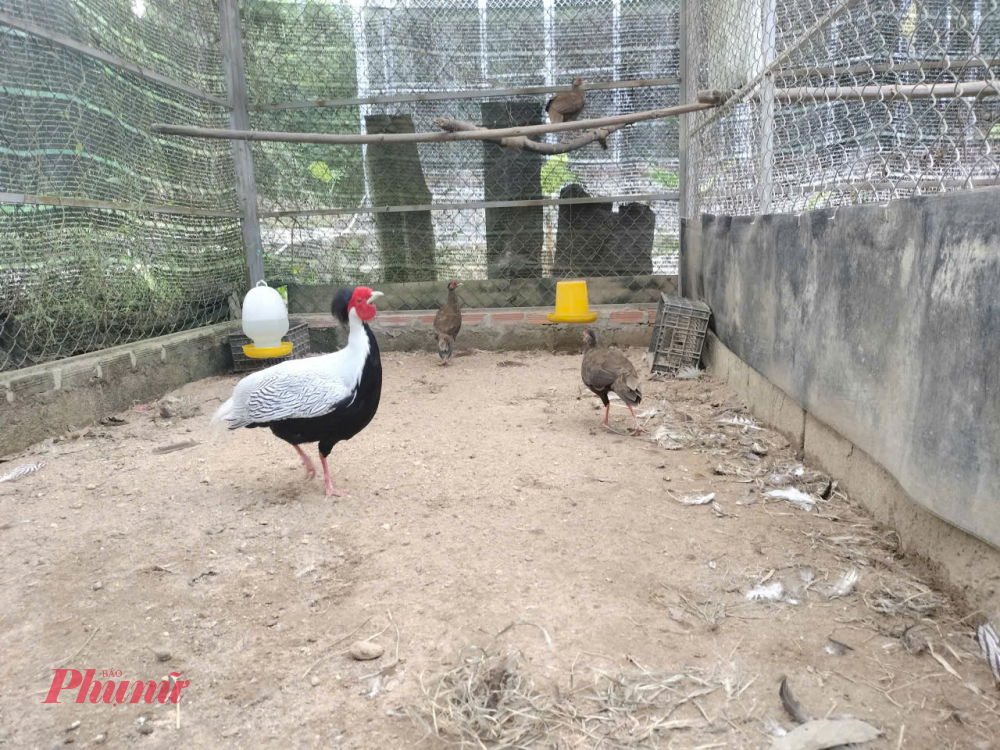 TS. Nguyễn Vũ Linh, Giám đốc Vườn Quốc gia Bạch mã cho biết, Vườn quốc gia Bạch Mã là 1 trong 6 Vườn quốc gia do Trung ương quản lý, diện tích trên 37.423ha (chủ yếu ở TP Huế).