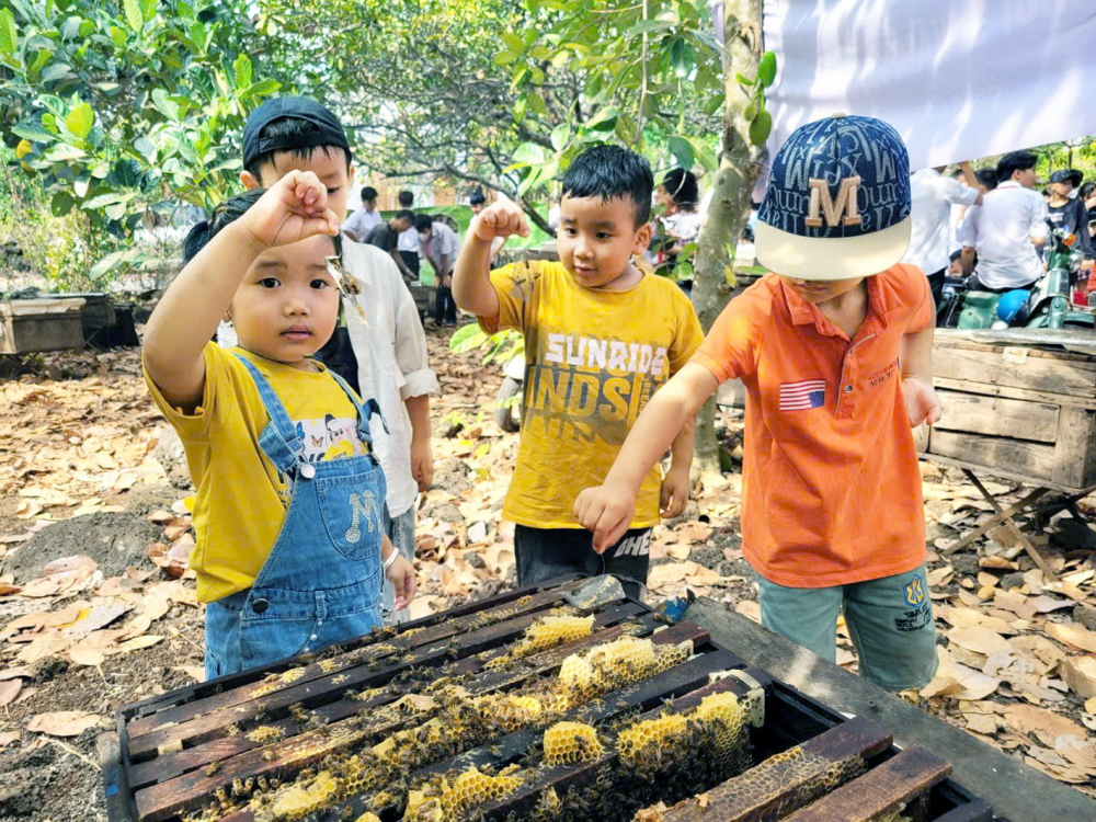 Nhiều bạn nhỏ thích thú khi được tham quan vườn nuôi ong mật của chị Đào  - Ảnh do nhân vật cung cấp