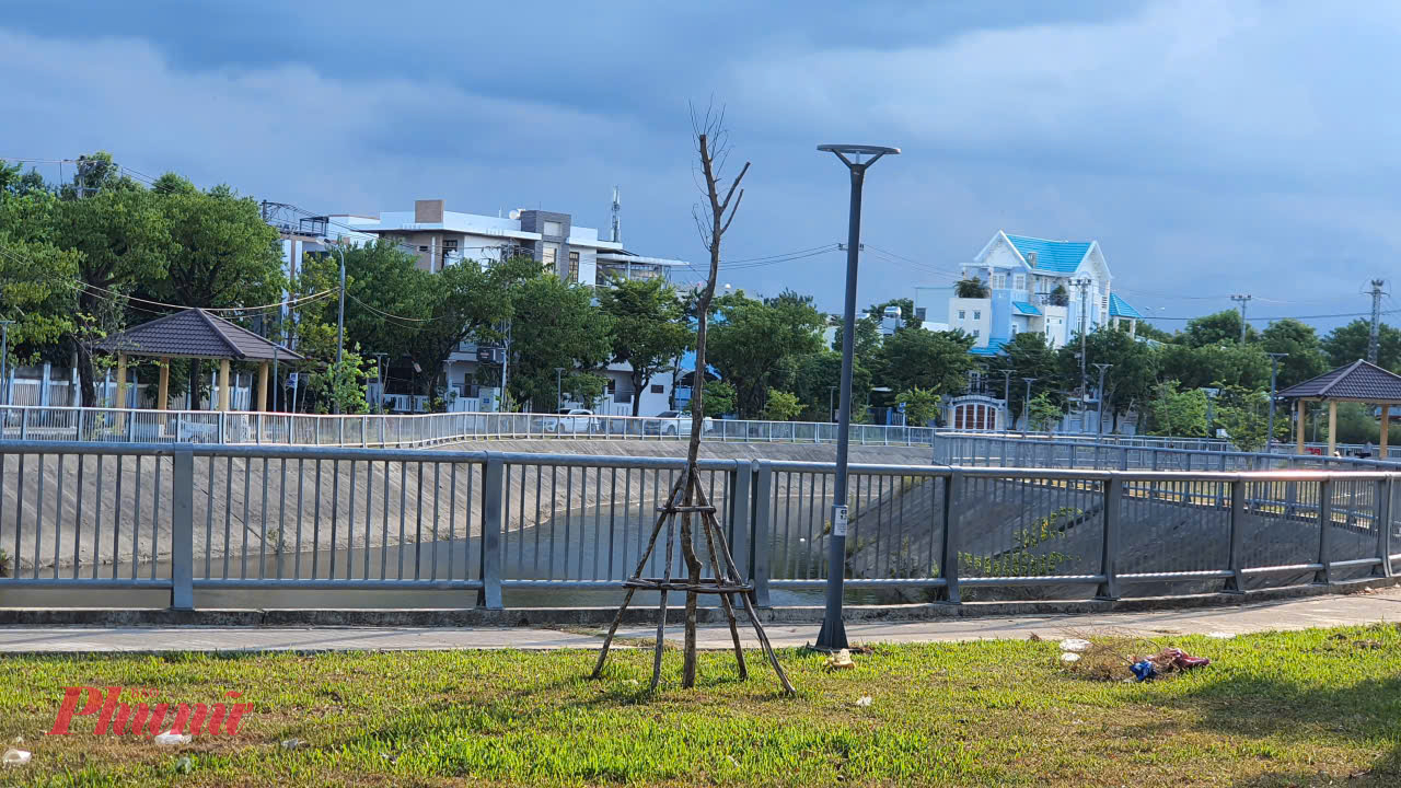 Dự án có tổng mức đầu tư hơn 14 tỉ đồng từ ngân sách thành phố với quy mô đầu tư xây dựng mới các hạng mục: san nền, giao thông, thoát nước, cấp nước, cây xanh, cấp điện và điện chiếu sáng.