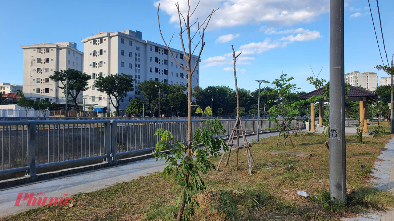 Dự án do liên danh nhà thầu Công ty Cổ phần Đầu tư xây dựng Hoàng Tiến – Đà Nẵng và Công ty Cổ phần Ngọc Hưng Anh thi công gói thầu xây lắp các hạng mục san nền, thoát nước, cấp nước, điện chiếu sáng và cảnh quan với giá trúng thầu hơn 10 tỉ đồng với hình thức hợp đồng trọn gói.