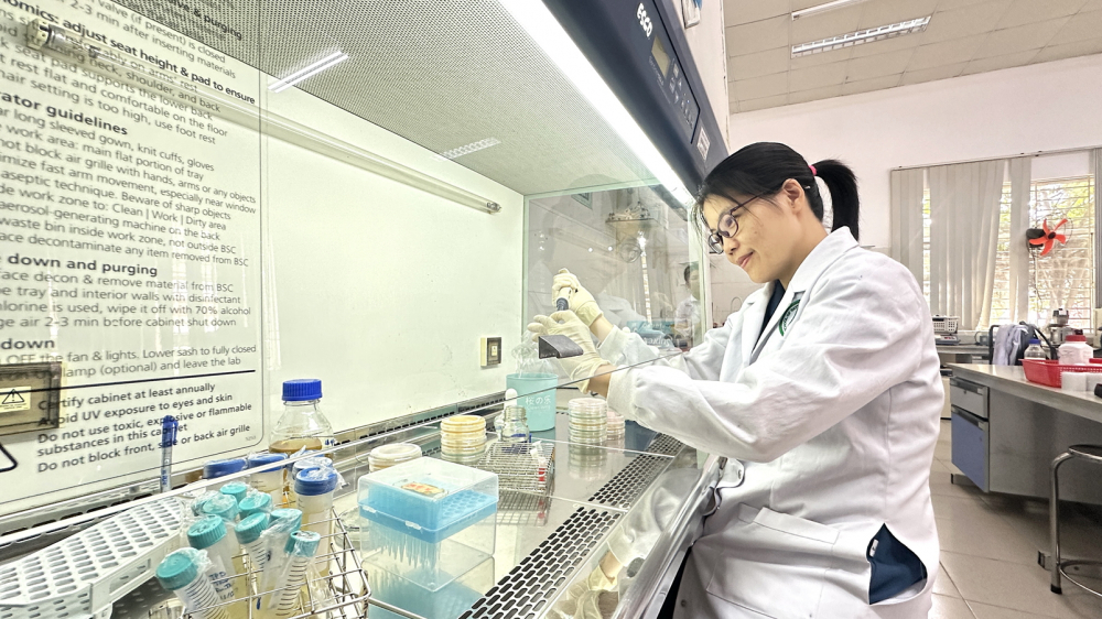 Bài 4: Dành cả thanh xuân tìm cách phát hiện sớm gen kháng kháng sinh Phó giáo sư, tiến sĩ Nguyễn Thị Thu Hoài làm việc tại phòng thí nghiệm