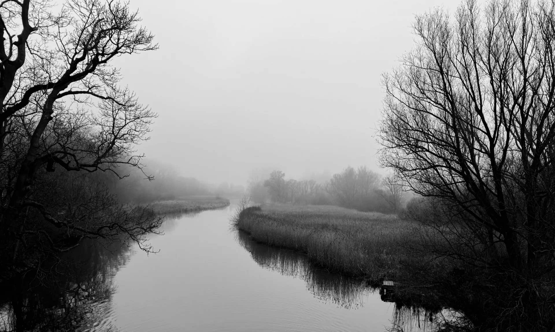 Bức ảnh Lübeck Amazonas' của Jens Peterson