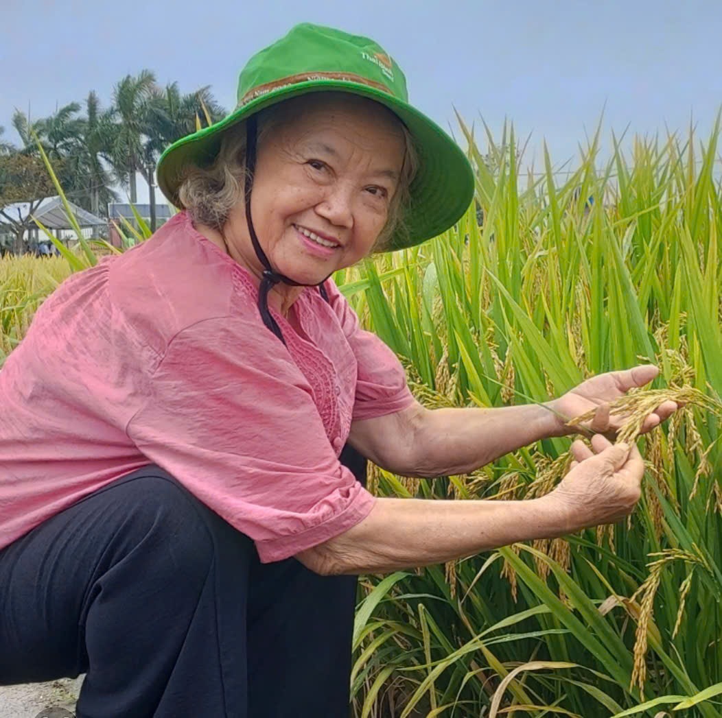 Bài 8: Giống lúa bạc tỉ và giấc mơ của người đàn bà lội đồng Phó giáo sư, tiến sĩ Nguyễn Thị Trâm - Ảnh: Nhân vật cung cấp