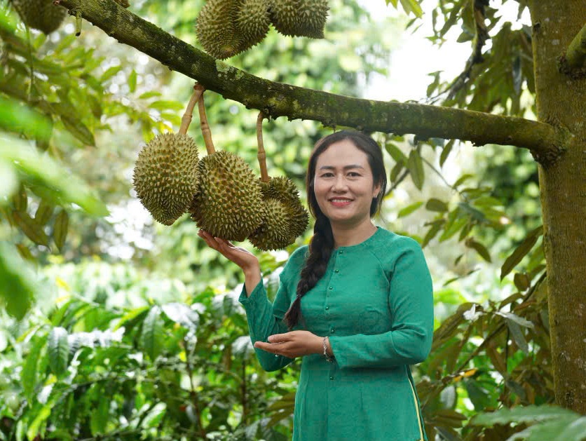 Bí thư Đảng ủy xã Ea Knuếc đi thăm vườn sầu riêng của bà con nông dân - Ảnh: B.X.