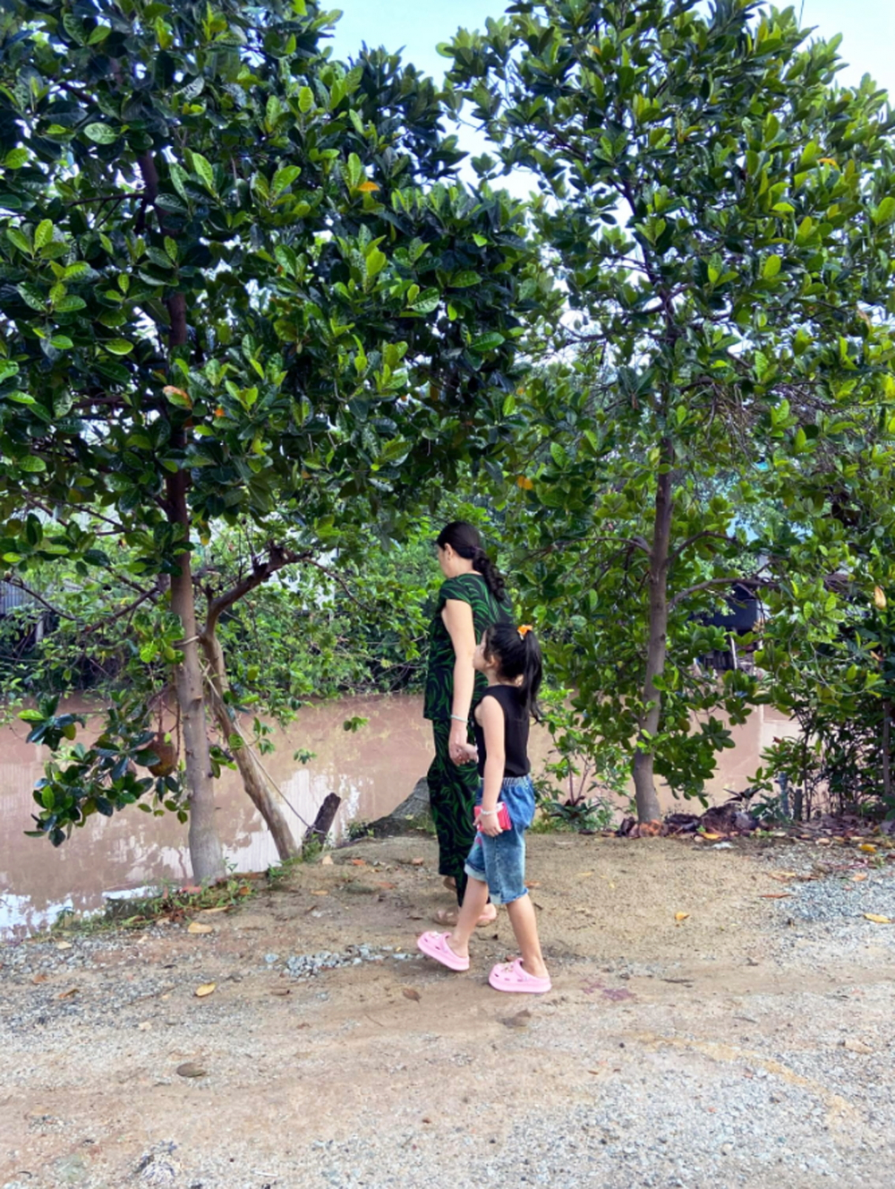 Mỗi lần về quê, chúng tôi lại tìm mít để hái, không chỉ vì thích ăn mít mà còn vì háo hức chờ mong món hạt mít hấp cơm - Ảnh do tác giả cung cấp 