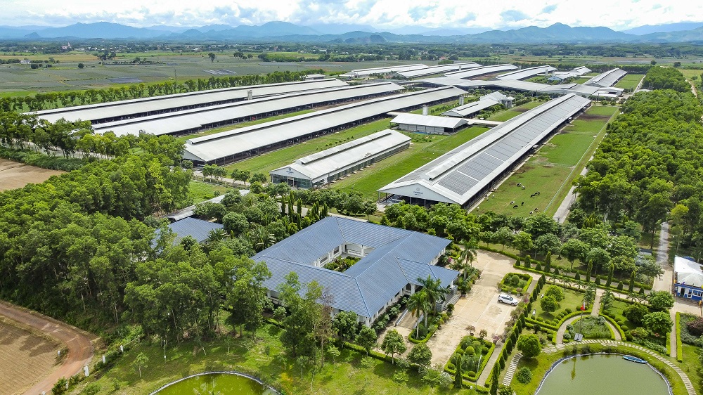 Hệ thống 15 trang trại đạt chuẩn Organic châu Âu và Global S.L.P với năng lực cung ứng ổn định, sản lượng hơn 1,1 triệu lít sữa tươi chất lượng cao mỗi ngày - Ảnh: Minh Anh