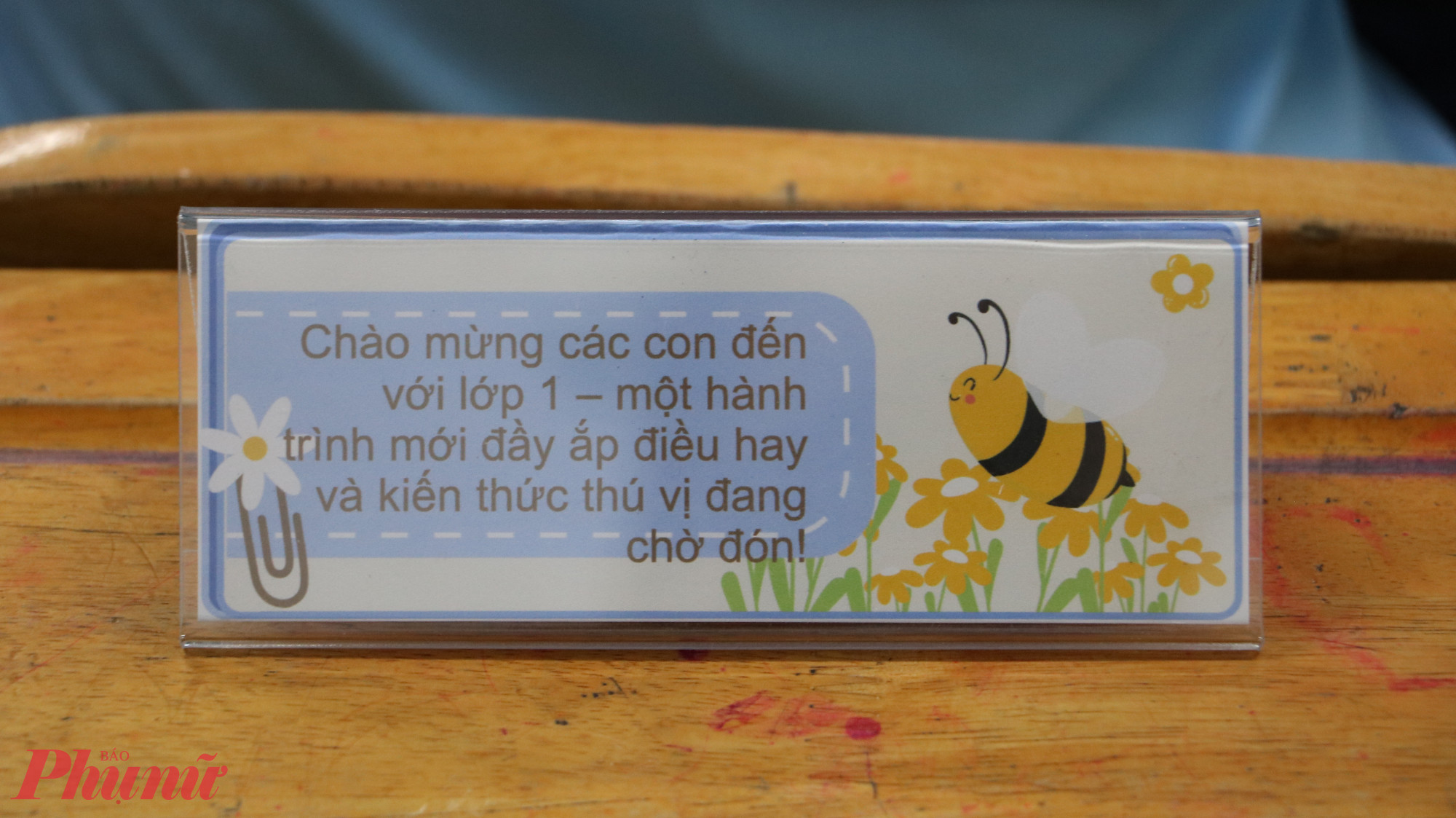 Sẵn sàng bước vào năm học mới - Ảnh: Trang Thư