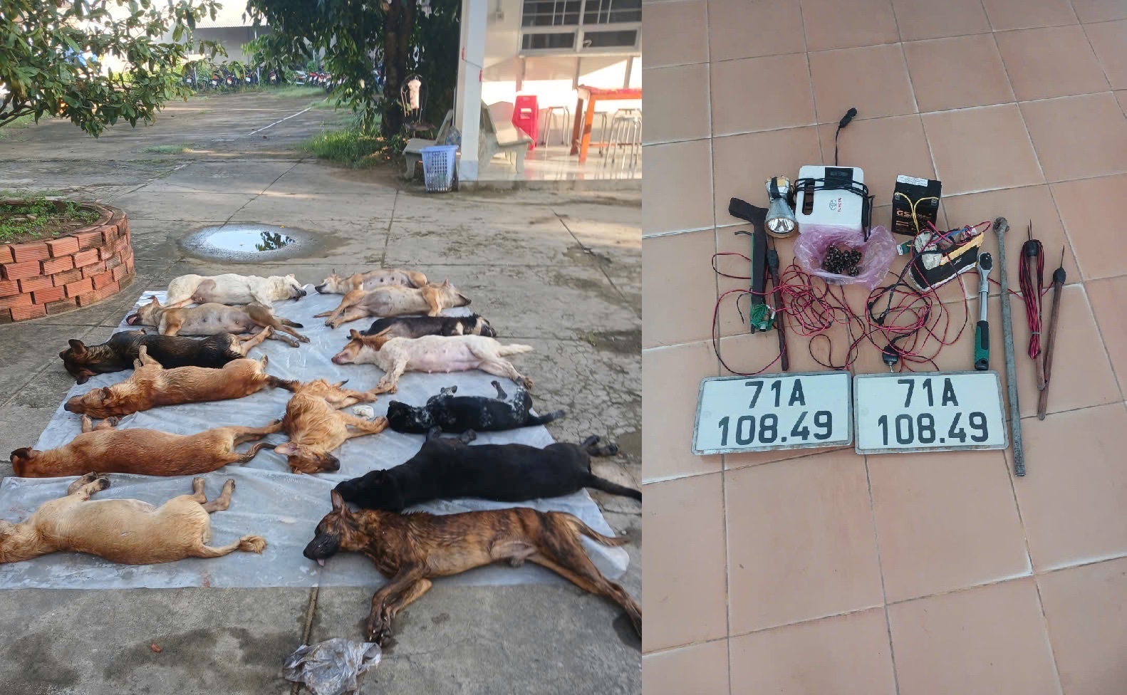 Tang vật được công an thu giữ