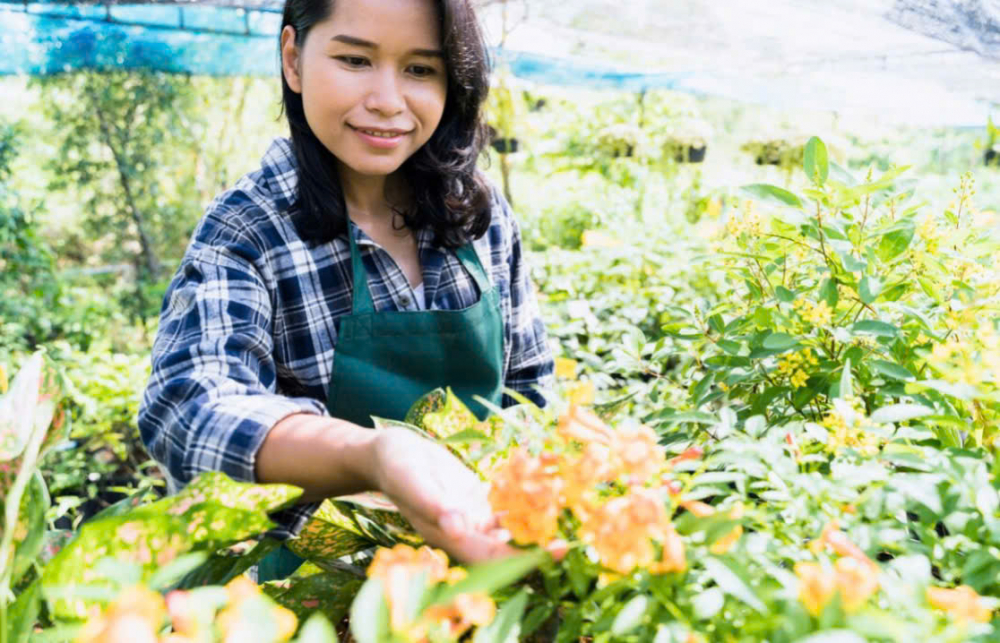 tôi quần quật làm việc nhà từ sáng đến tối. Ảnh: Freepik