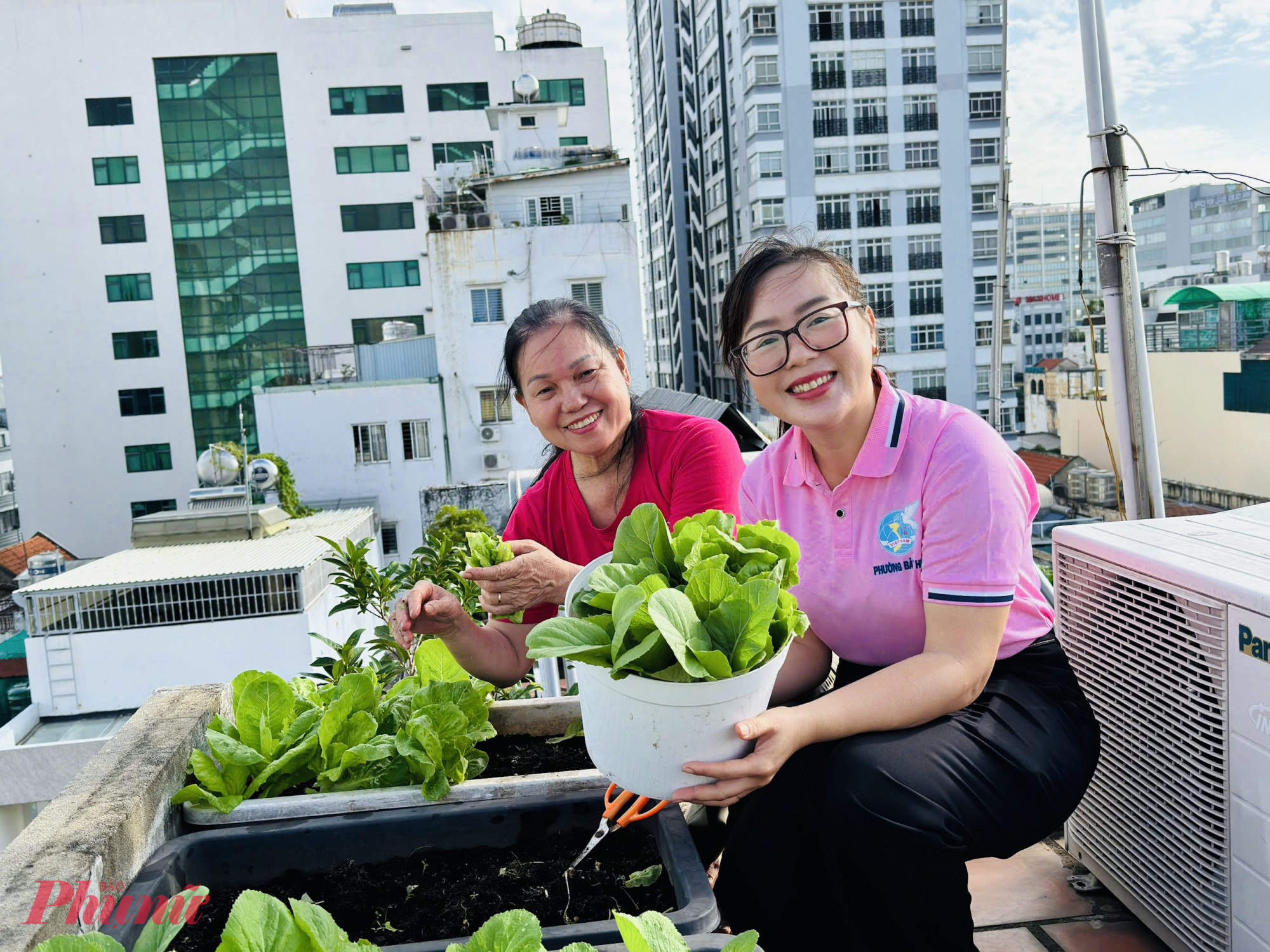 Bà Nguyễn Thị Hoài thu hoạch rau xanh
