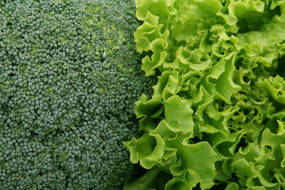 Rau lá xanh - Rau lá xanh giàu folate, đóng vai trò quan trọng trong sản xuất dopamine và serotonin. Chúng cũng chứa nhiều chất chống ô xy hóa giúp giảm stress.