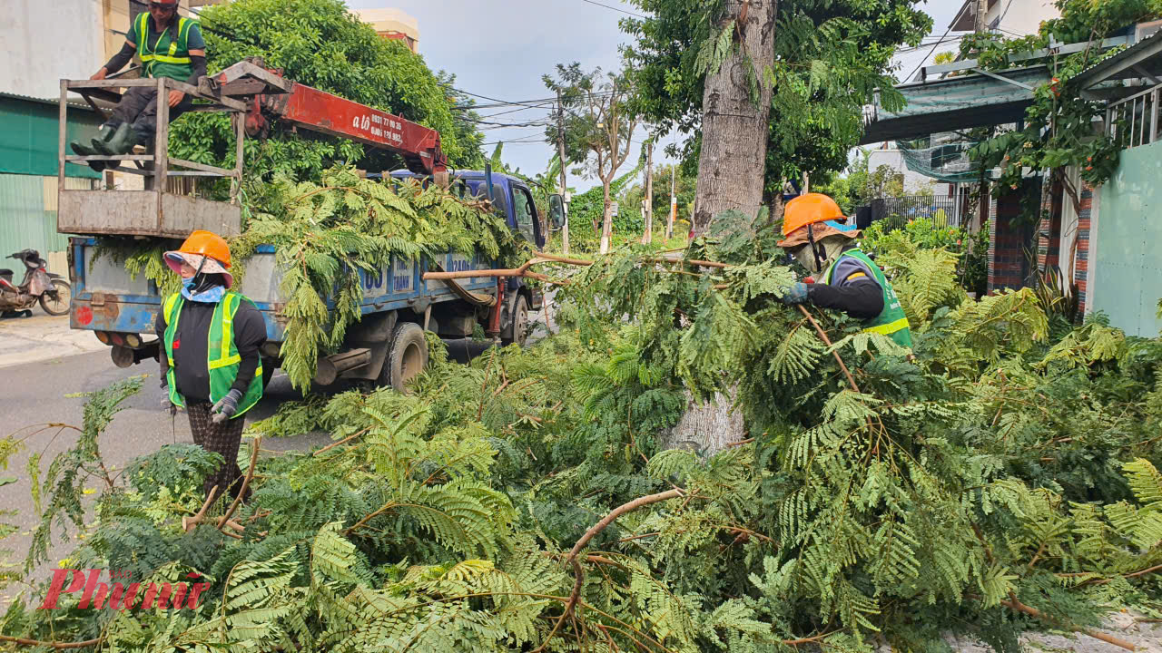Theo ghi nhận, rất nhiều tuyến đường ở trung tâm Đà Nẵng đang triển khai nhiều phương tiện và lực lượng cắt tỉa cây.