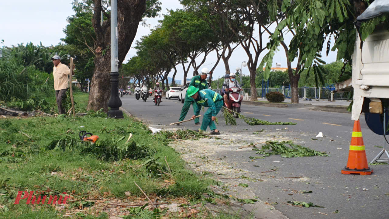 Sau khi cắt tỉa, công nhân dọn dẹp sạch sẽ khu vực cắt tỉa.