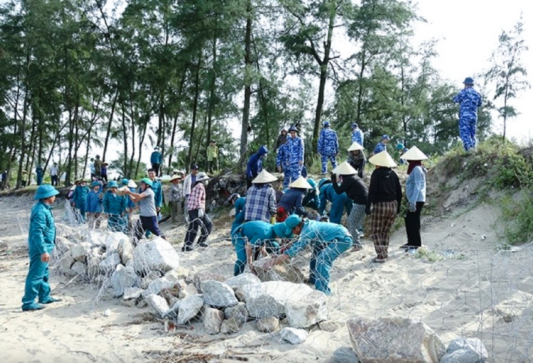 Hàng trăm người được huy động tham gia gia cố bờ biển ứng phó bão số 5 - Ảnh: Khánh Trung