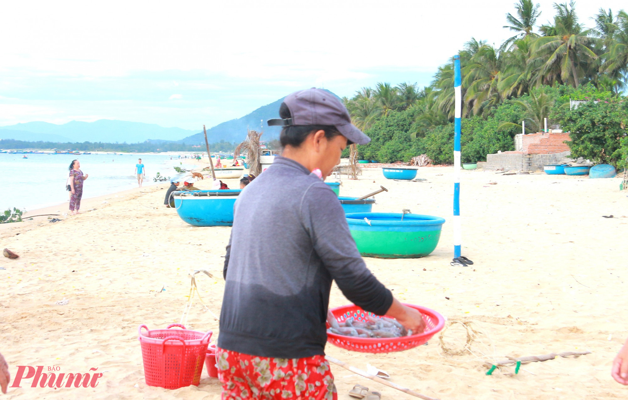 Quần áo ướt sũng, người phụ nữ vẫn cần mẫn chăm chút cho rổ mực vừa mua được để mang đi tiêu thụ