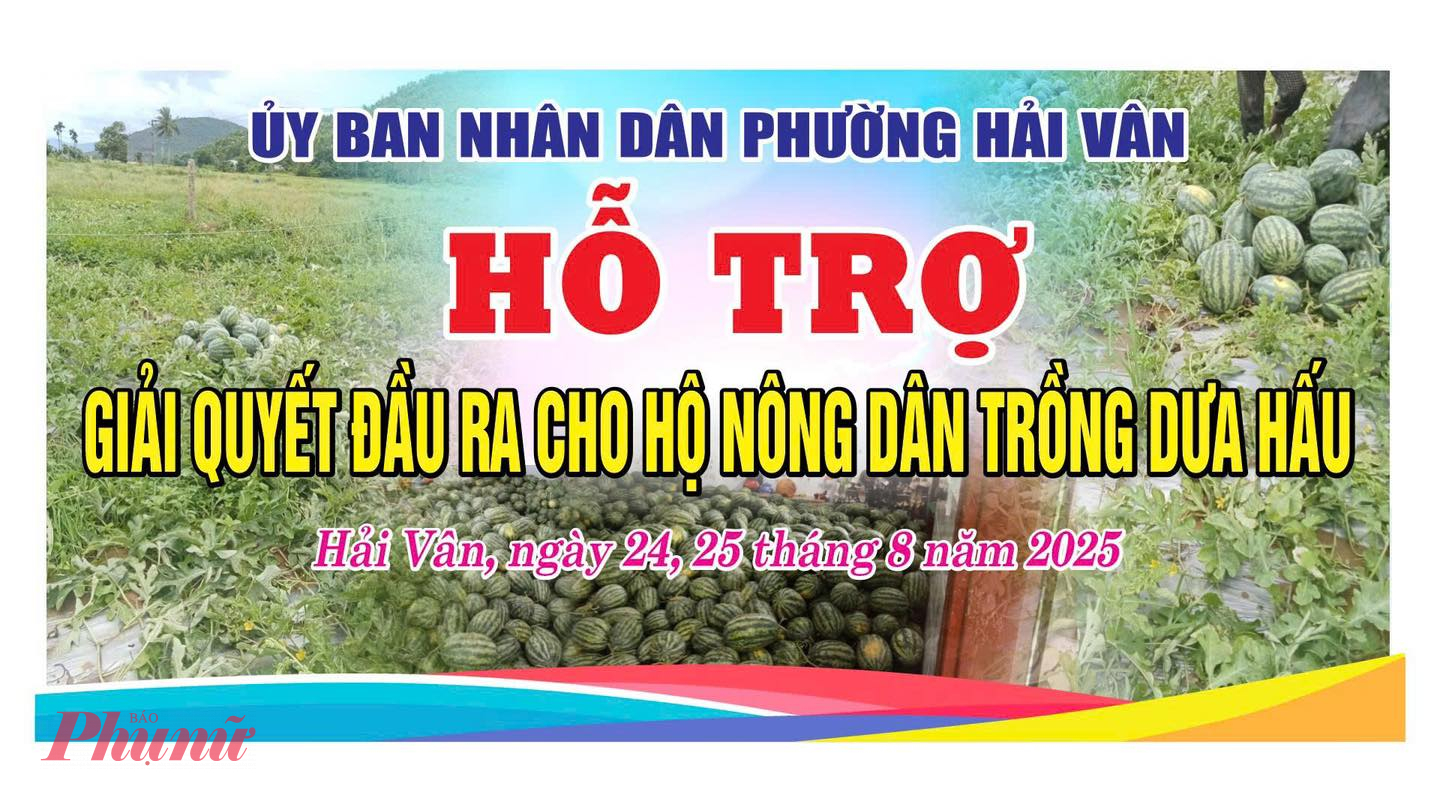 Trước tình hình trên, UBND phường Hải Vân đã xuống tận nơi thu gom, vận chuyển và tổ chức các điểm bán dưa giúp dân.