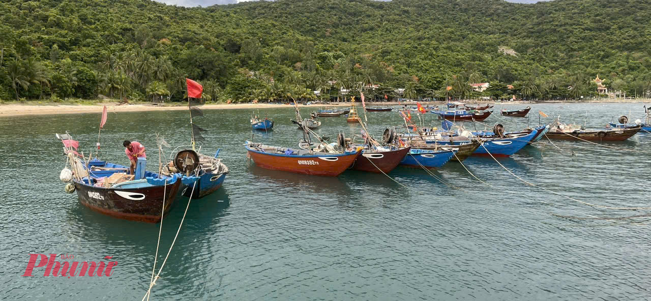 Diện tích sắp thu hoạch đối với nuôi thuỷ sản ao đìa khoảng 1.000 ha; lồng bè khoảng 1400 lồng; diện tích có nguy cơ ảnh hưởng bão 3110 ha; nuôi lồng bè khoảng 4630 lồng.