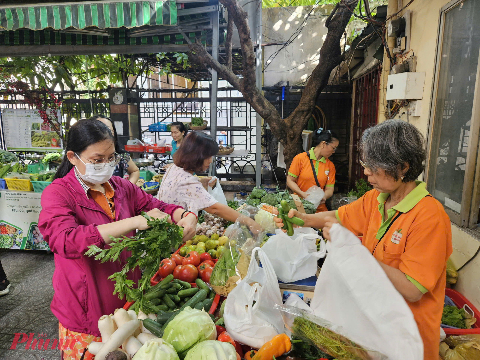 Chia sẻ tại minishow “Khám phá tài nguyên bản địa Việt Nam: Khi lá cỏ hóa ‘vàng xanh’ lên kệ hàng thế giới” diễn ra cùng ngày, bà Vũ Kim Hạnh - Chủ tịch Hội Doanh nghiệp Hàng Việt Nam Chất lượng cao - khẳng định, những phụ phẩm như xơ mướp, cỏ năn tượng, lá dứa… đang dần “tái sinh” thành sản phẩm có giá cao.