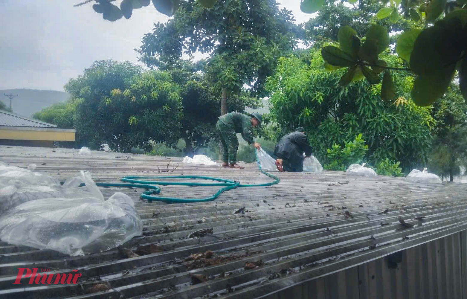 Nước được cho vào các túi nilong lớn, không bơm quá đầy để tạo thế nằm vững chãi, buộc chặt, cố định bằng dây, đè trên mái tôn.